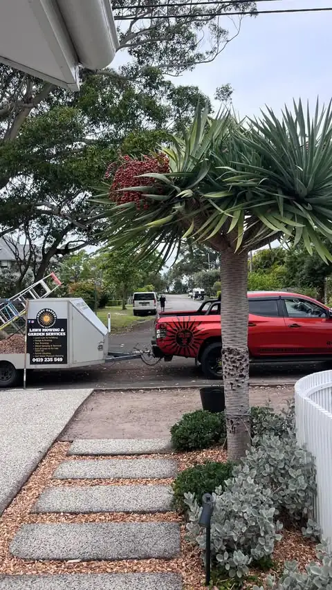 Garden clean-up by Sunny Garden in Bateau Bay