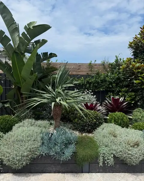 Garden landscaping by Sunny Garden in Forresters Beach