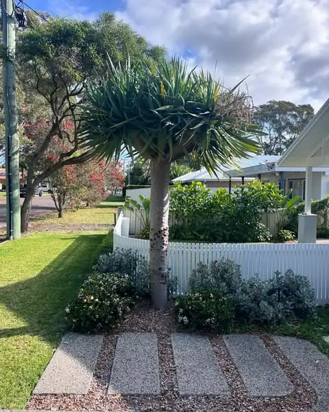 Lawn mowing & edging by Sunny Garden in Bateau Bay
