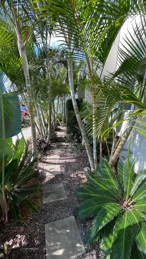 Garden landscaping by Sunny Garden in Blue Bay