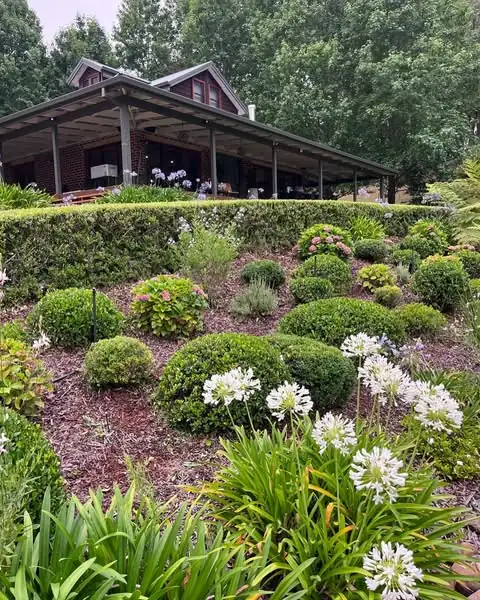 Garden landscaping by Sunny Garden in Wamberal