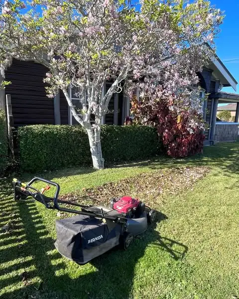 Lawn mowing & edging by Sunny Garden in Long Jetty