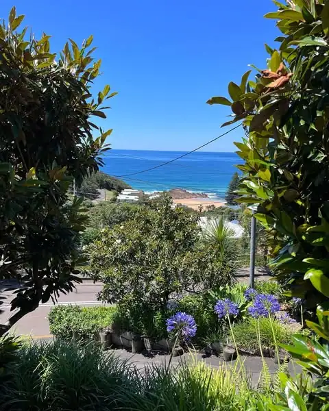 Garden landscaping by Sunny Garden in Terrigal