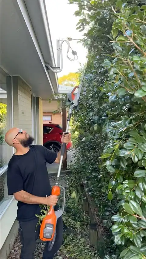Hedging & pruning by Sunny Garden in Bateau Bay
