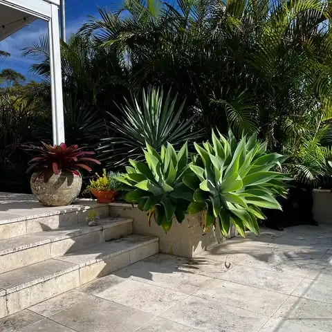 Garden landscaping by Sunny Garden in Long Jetty