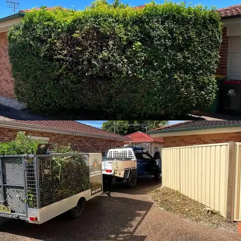 Hedging & pruning by Sunny Garden in Long Jetty