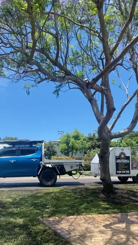 Hedging & pruning by Sunny Garden in Shelly Beach