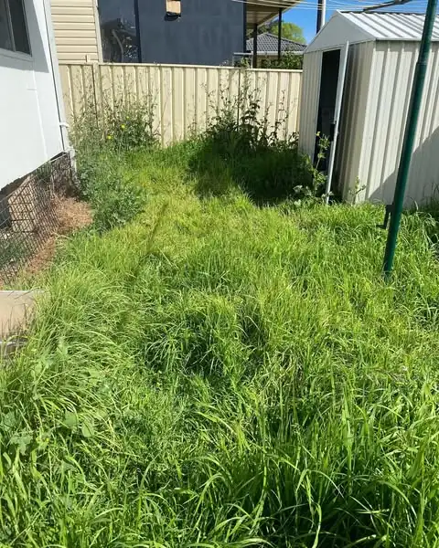 Garden clean-up by Sunny Garden on the Central Coast