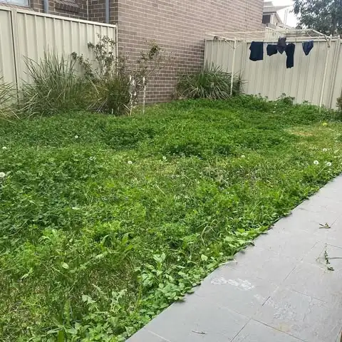 Garden clean-up by Sunny Garden on the Central Coast