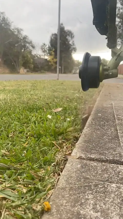 Garden clean-up by Sunny Garden on the Central Coast